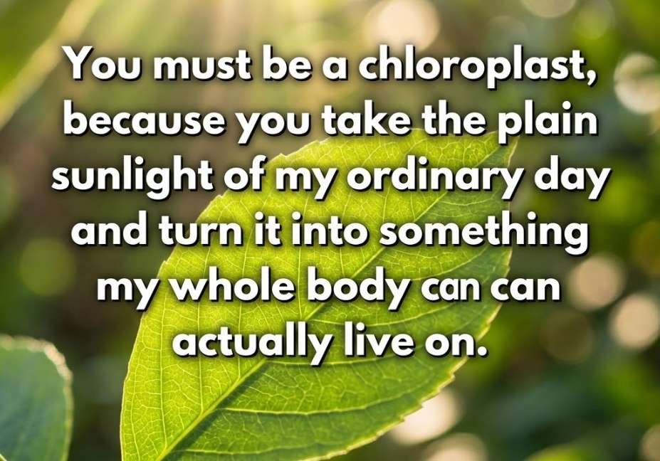 Chloroplast pick up lines quote on a sunlit green leaf background with glowing golden light rays