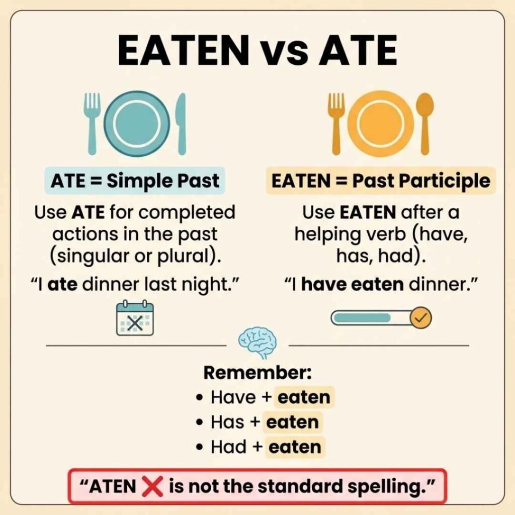 Eaten vs ate grammar infographic showing simple past and past participle usage