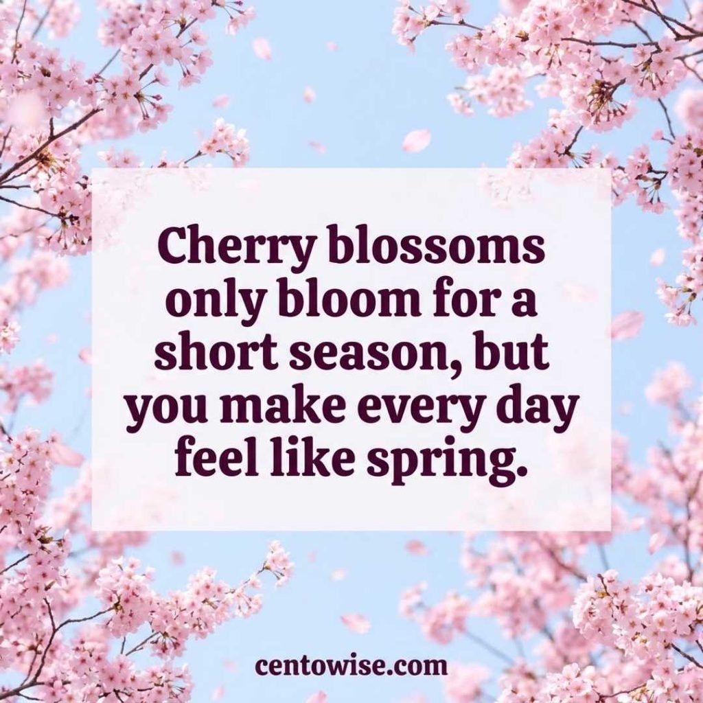 Smooth Asian pickup lines image with a bold line about cherry blossoms and spring on a pink blossom background