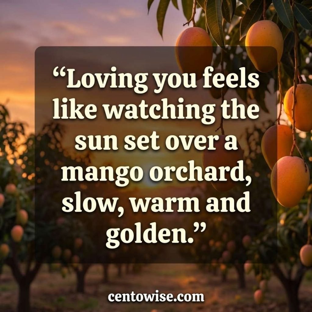 Romantic mango pickup lines image with a bold line about love and a golden sunset over a mango orchard