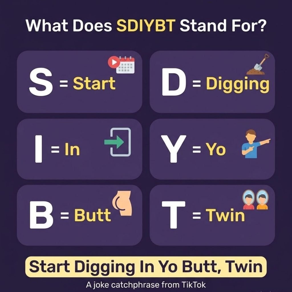 SDIYBT meaning infographic breaking down each letter of Start Digging In Yo Butt Twin