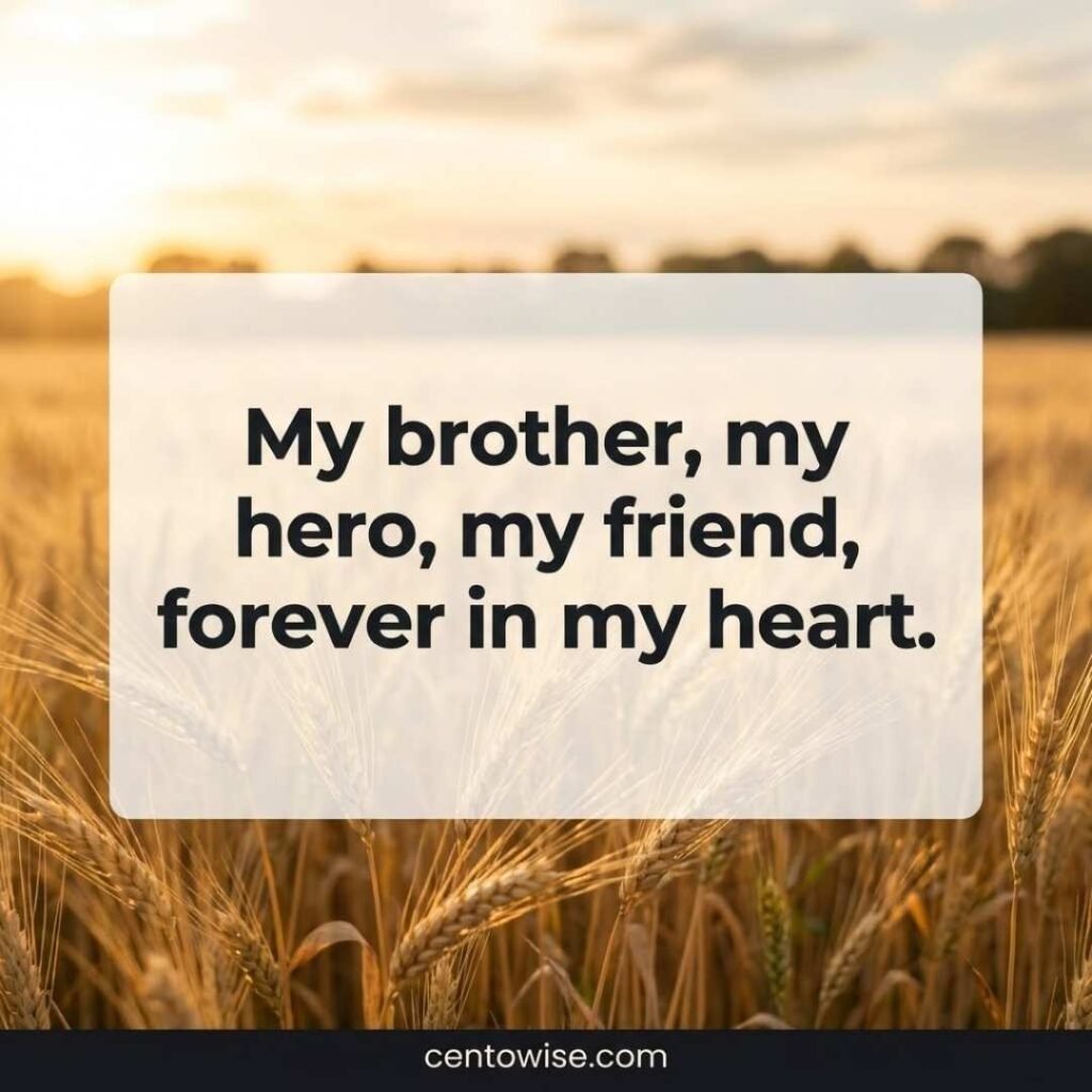 Golden wheat field with a short tribute to a late brother: “My brother, my hero, my friend, forever in my heart”